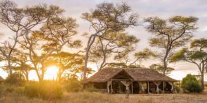 Tarangire Public Campsite