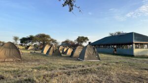 Seronera Public Campsite