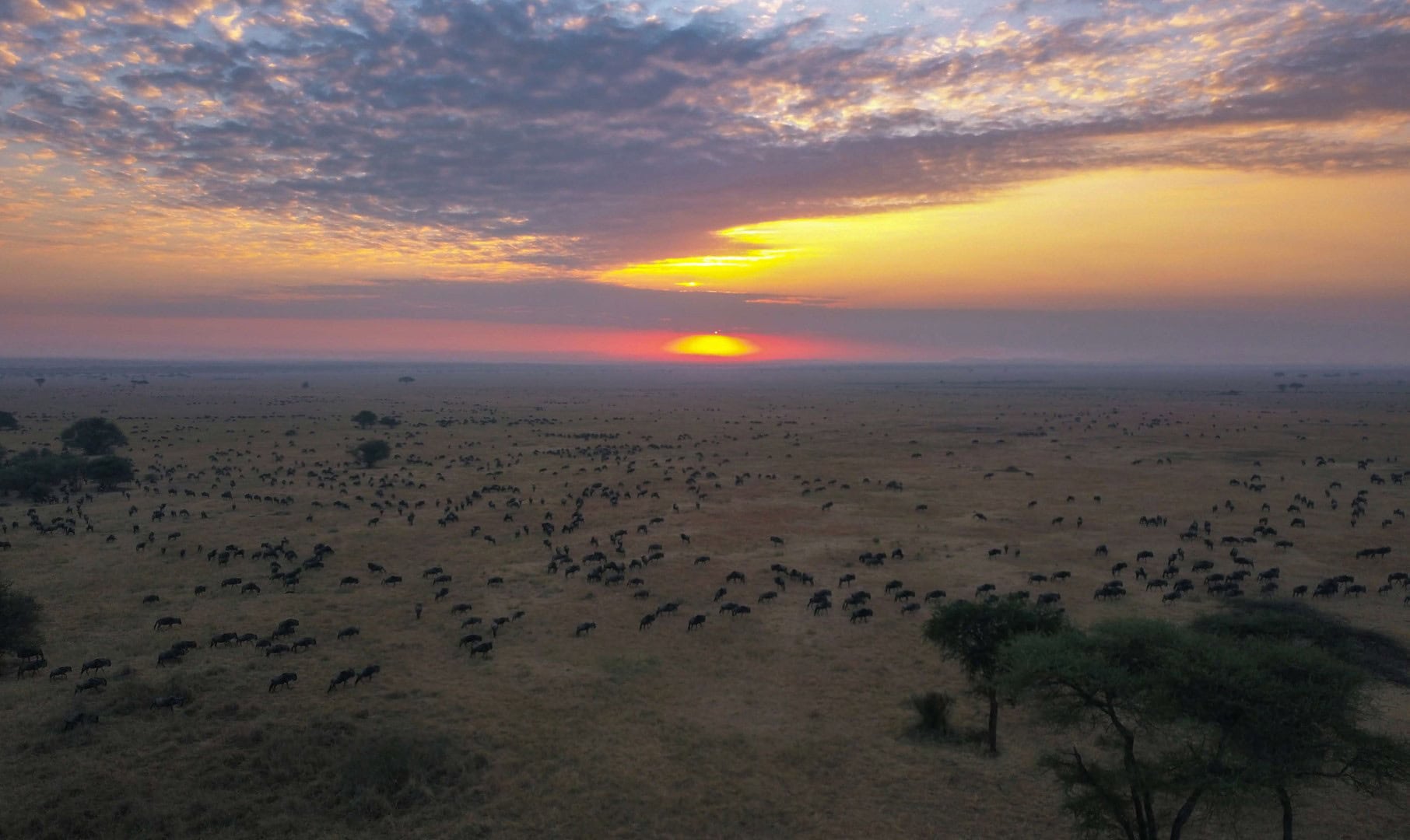 Ndutu Plains