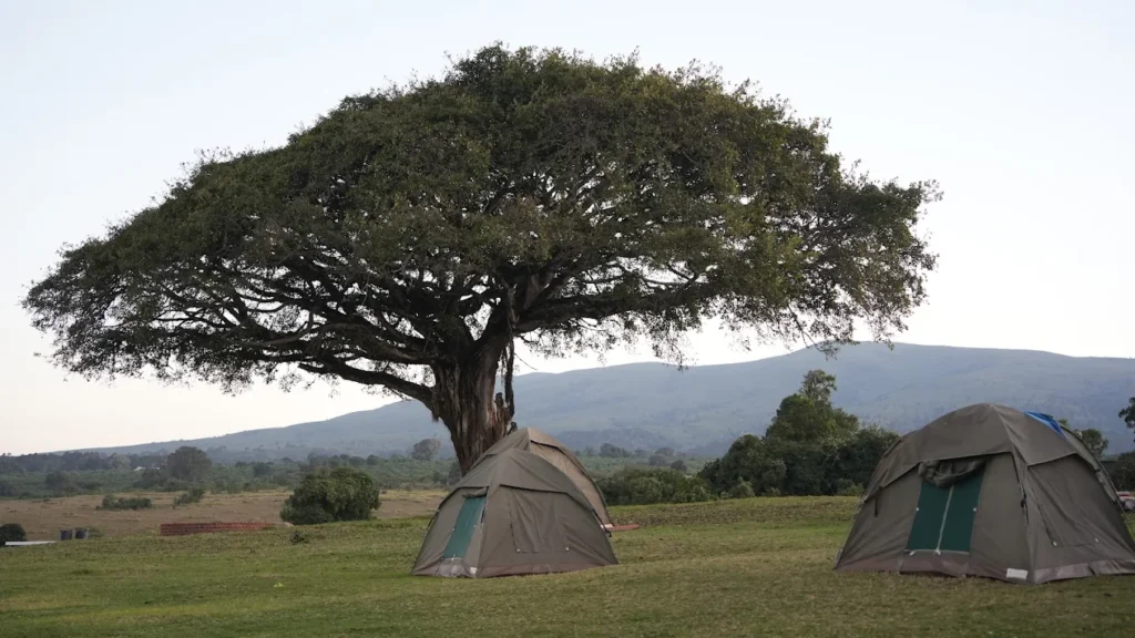 Ngorongoro Public Campsite