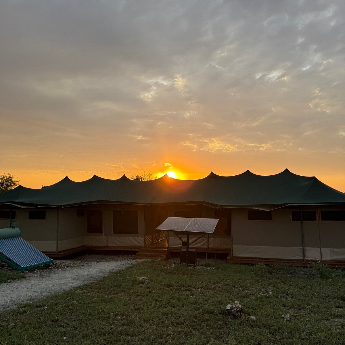 Tanzania Safaris