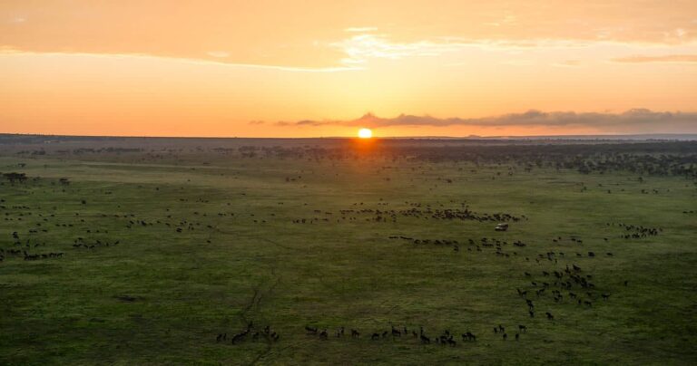 Serengeti National Park