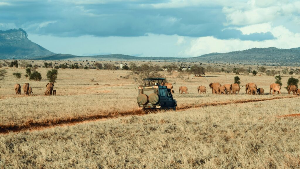 5-Day Mid-Range Northern Circuit Safari
