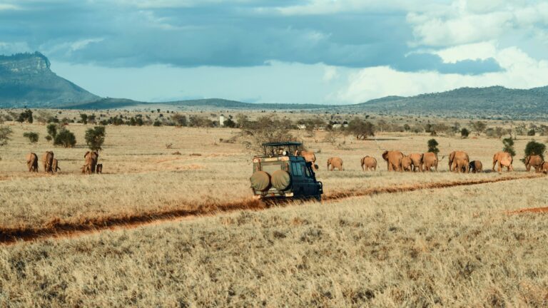 5 Days Mid-Range Northern Circuit Safari