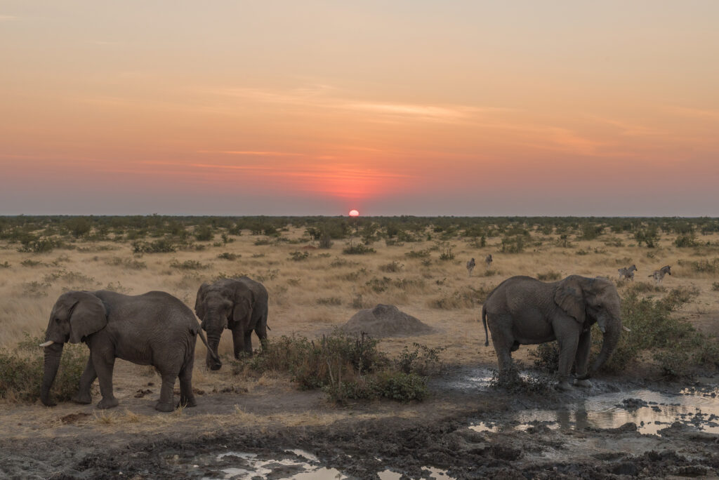 3-Day Serengeti Express