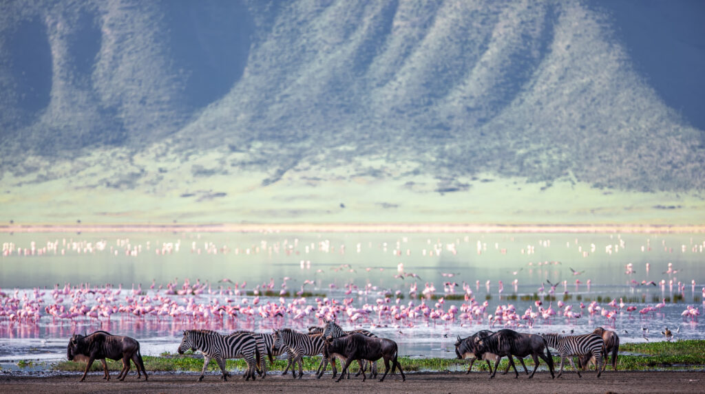 3-Day Serengeti Express Safari